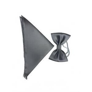 NEW QUIET LUXURY men's bow tie and pocket piece in platinum